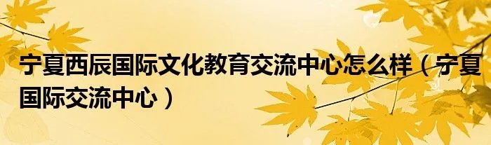 宁夏西辰国际文化教育交流中心怎么样（宁夏国际交流中心）