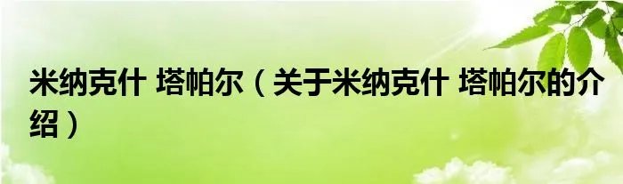米纳克什 塔帕尔（关于米纳克什 塔帕尔的介绍）