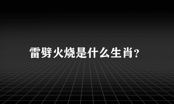 雷劈火烧是什么生肖？