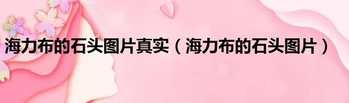 海力布的石头图片真实(海力布的石头图片)