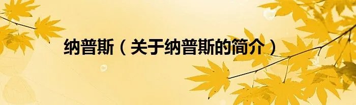 纳普斯（关于纳普斯的简介）