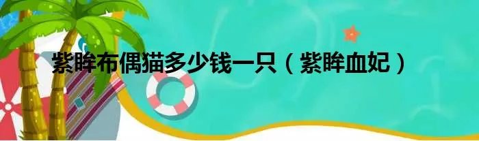 紫眸布偶猫多少钱一只（紫眸血妃）
