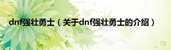 dnf强壮勇士（关于dnf强壮勇士的介绍）