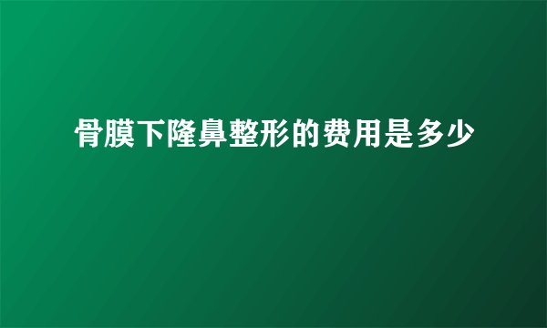 骨膜下隆鼻整形的费用是多少