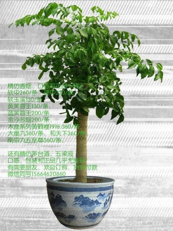 南通的电脑城在哪