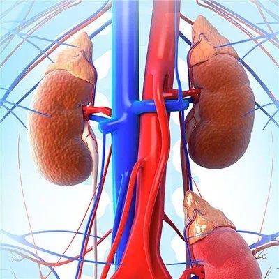 肾虚性腰痛是怎么回事啊?