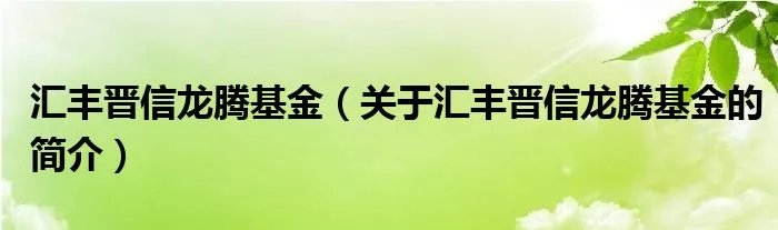 汇丰晋信龙腾基金（关于汇丰晋信龙腾基金的简介）