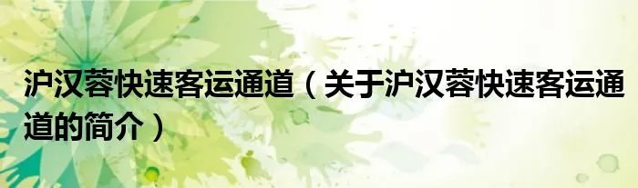 沪汉蓉快速客运通道（关于沪汉蓉快速客运通道的简介）