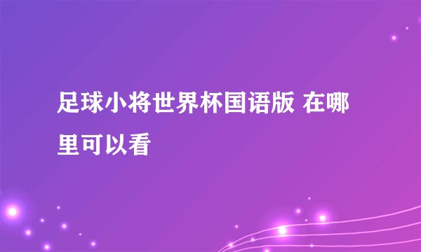 足球小将世界杯国语版 在哪里可以看