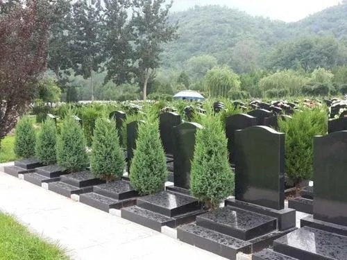 建议全面取消经营性公墓,这样做有什么好处?
