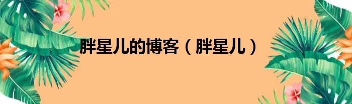 胖星儿的博客（胖星儿）