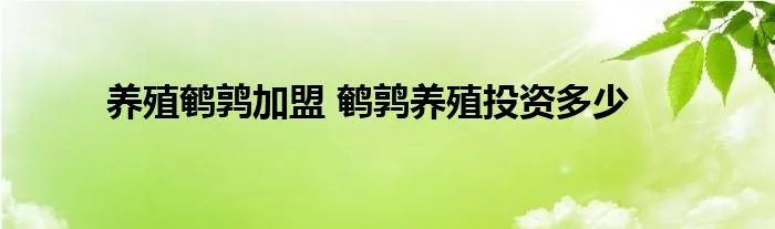 养殖鹌鹑加盟 鹌鹑养殖投资多少