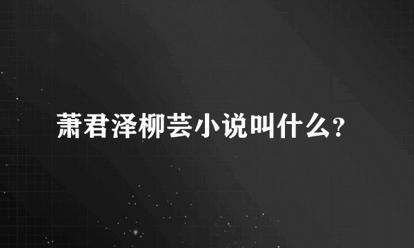 萧君泽柳芸小说叫什么？