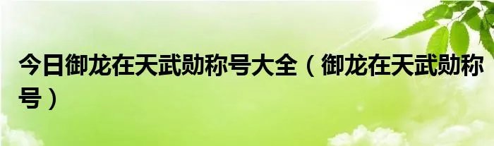 今日御龙在天武勋称号大全（御龙在天武勋称号）