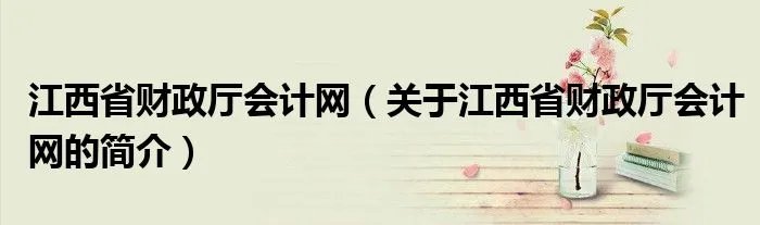 江西省财政厅会计网（关于江西省财政厅会计网的简介）