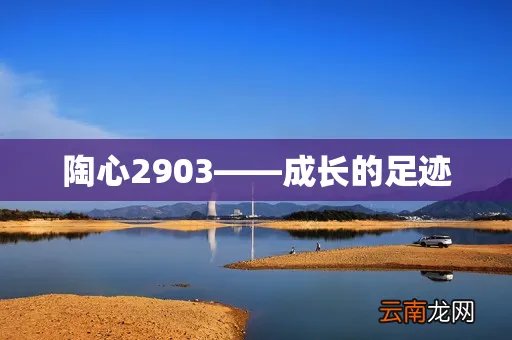 陶心2903——成长的足迹