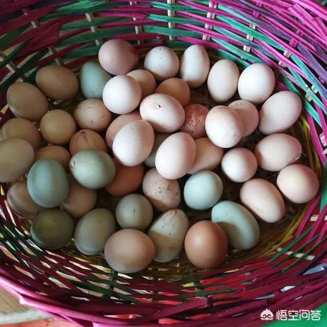 买土鸡蛋