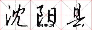 沈阳县