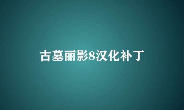 古墓丽影8汉化补丁