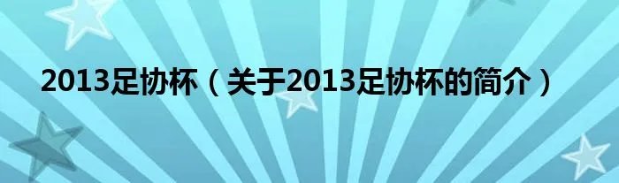 2013足协杯（关于2013足协杯的简介）