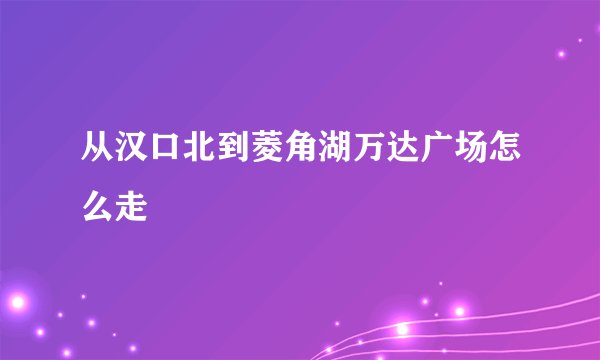 从汉口北到菱角湖万达广场怎么走