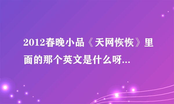2012春晚小品《天网恢恢》里面的那个英文是什么呀？是啥意思呀？