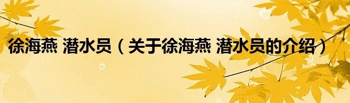 徐海燕 潜水员（关于徐海燕 潜水员的介绍）
