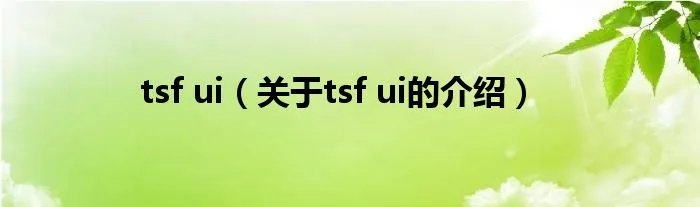 tsf ui（关于tsf ui的介绍）