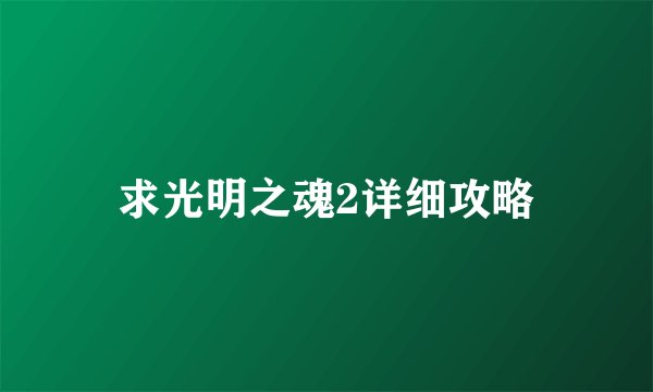 求光明之魂2详细攻略
