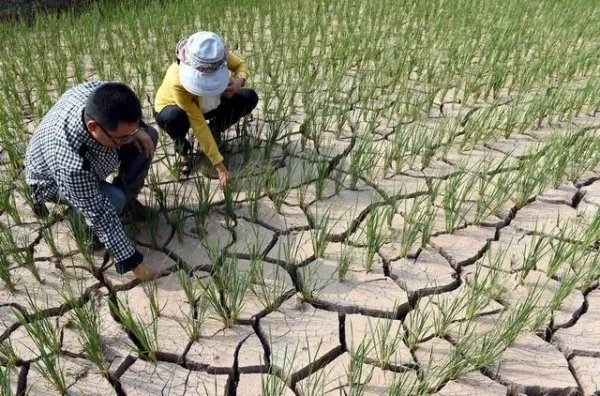 71年来首次7月无台风生成,在你看来这是好事吗?