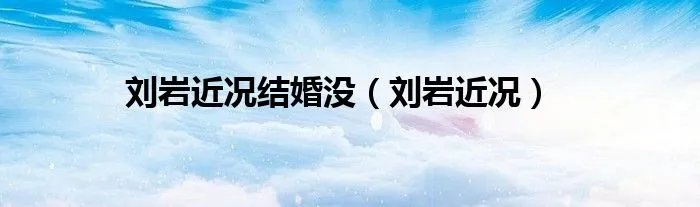 刘岩近况结婚没（刘岩近况）