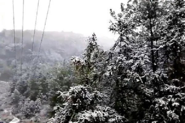 河南多景区飘起鹅毛大雪,如此景象是反常还是基本操作?