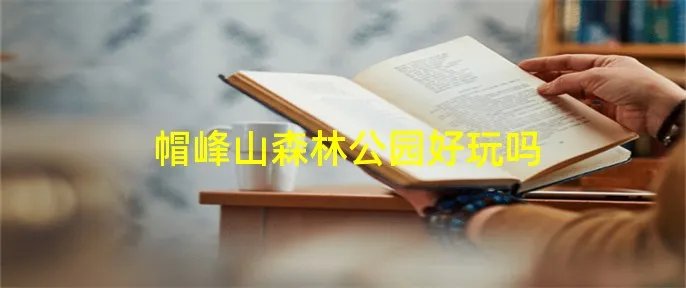 帽峰山森林公园好玩吗