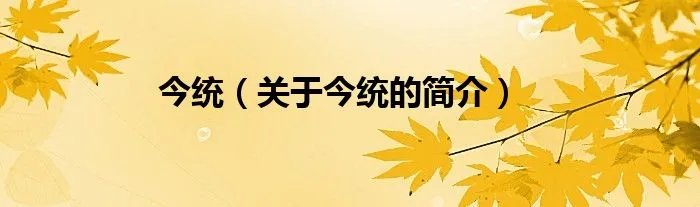 今统（关于今统的简介）