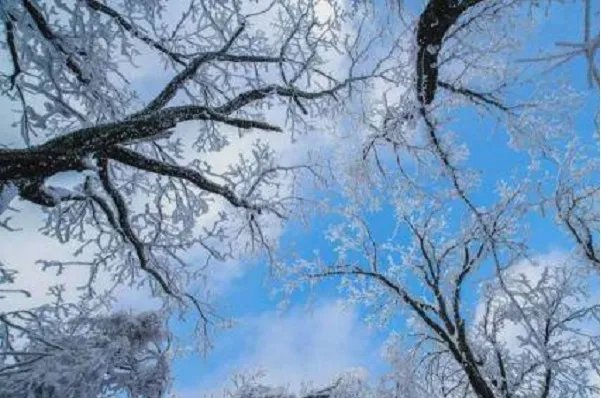 河南多景区飘起鹅毛大雪，如此景象是反常还是基本操作？