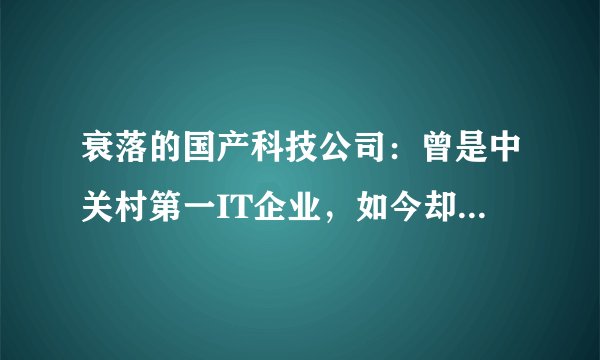 衰落的国产科技公司：曾是中关村第一IT企业，如今却在做开关插座