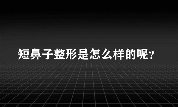 短鼻子整形是怎么样的呢？