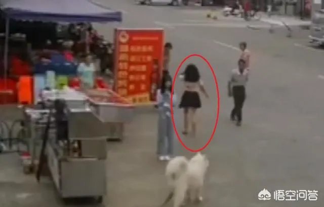 牵狗少女回应“逃跑”:不知道是狗绳绊倒了老人,她的话可信吗?