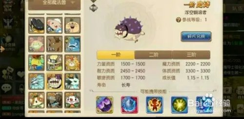 熔岩魔导士如何装备?