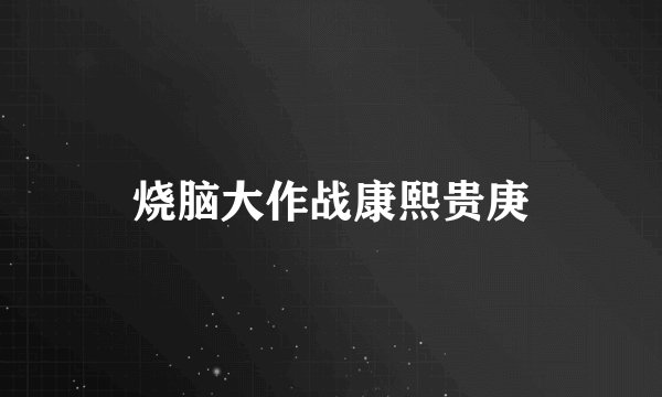 烧脑大作战康熙贵庚