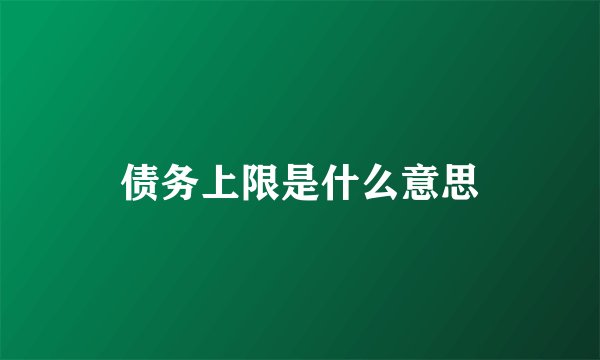 债务上限是什么意思