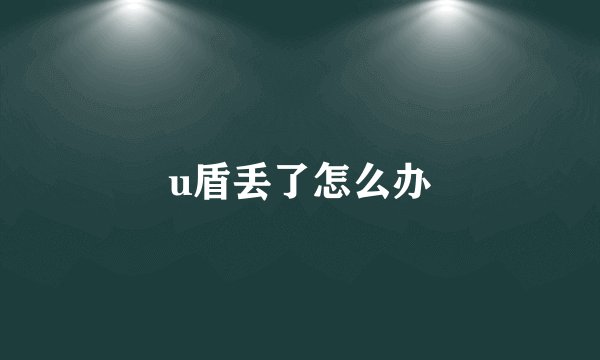 u盾丢了怎么办