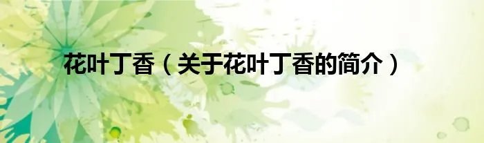花叶丁香（关于花叶丁香的简介）