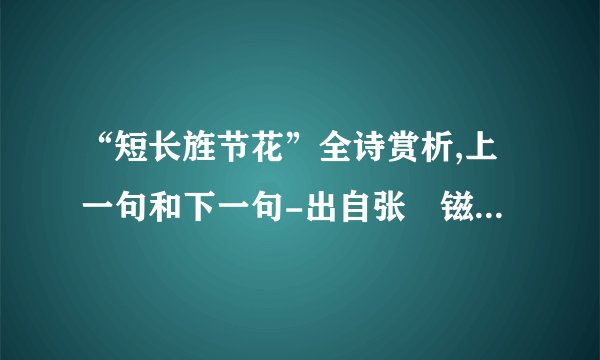“短长旌节花”全诗赏析,上一句和下一句-出自张鎡《菩萨蛮·遣兴》