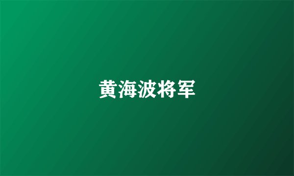 黄海波将军