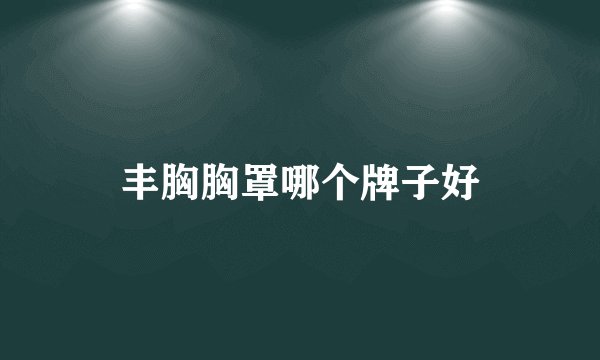丰胸胸罩哪个牌子好