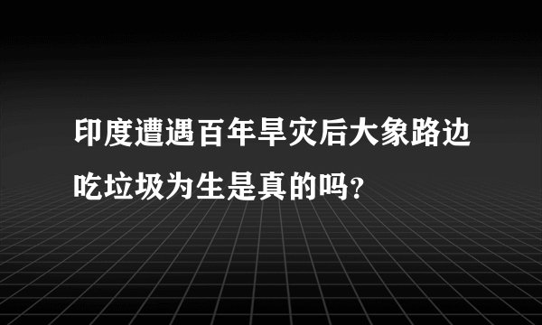 印度遭遇百年旱灾后大象路边吃垃圾为生是真的吗？