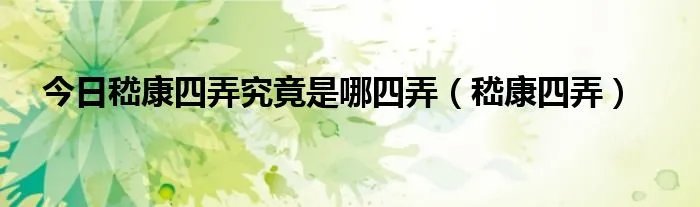 今日嵇康四弄究竟是哪四弄（嵇康四弄）