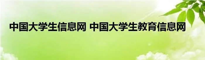 中国大学生信息网 中国大学生教育信息网