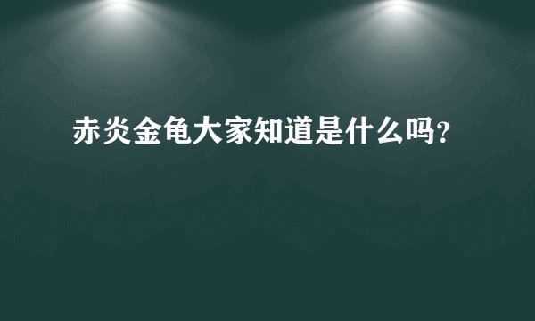 赤炎金龟大家知道是什么吗？